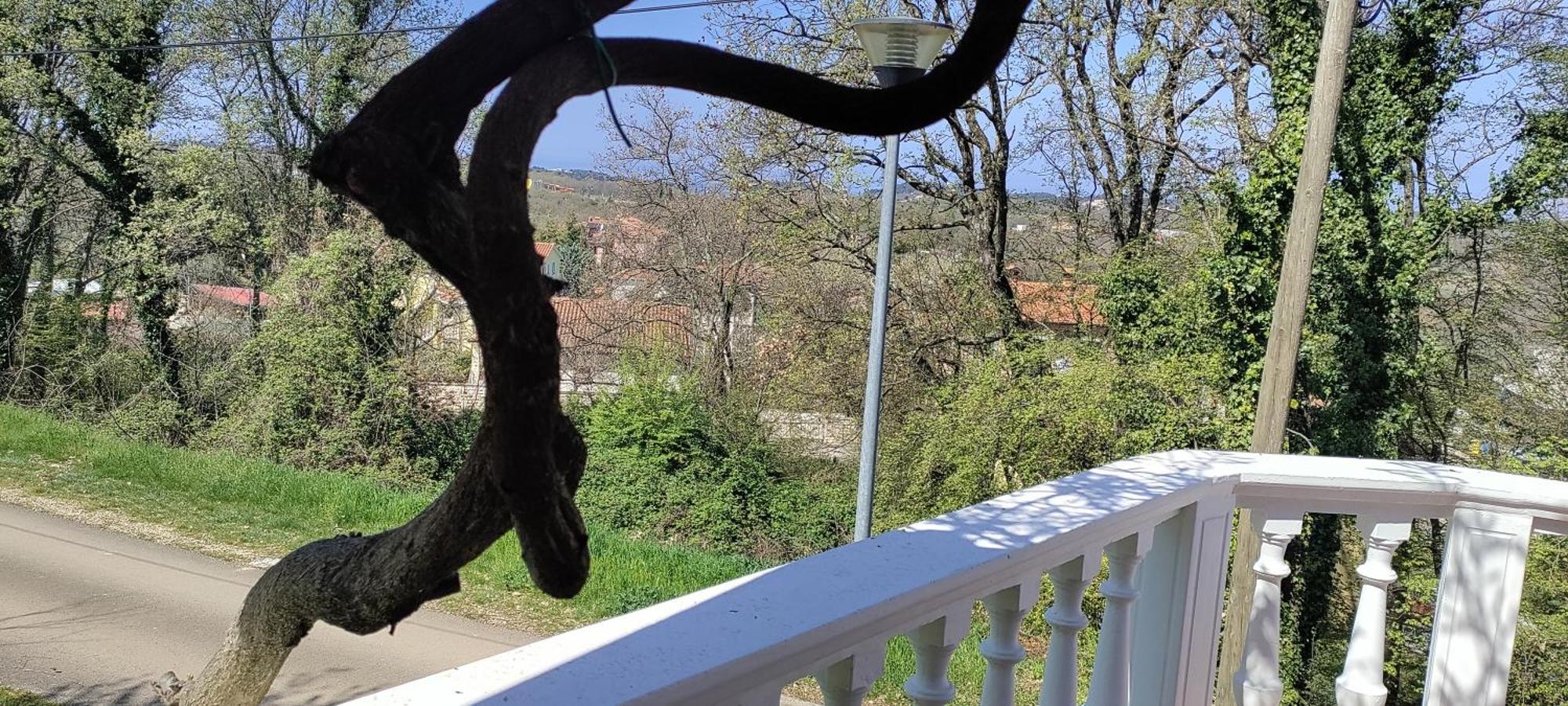 Vila Breskvar Mugeba エクステリア 写真